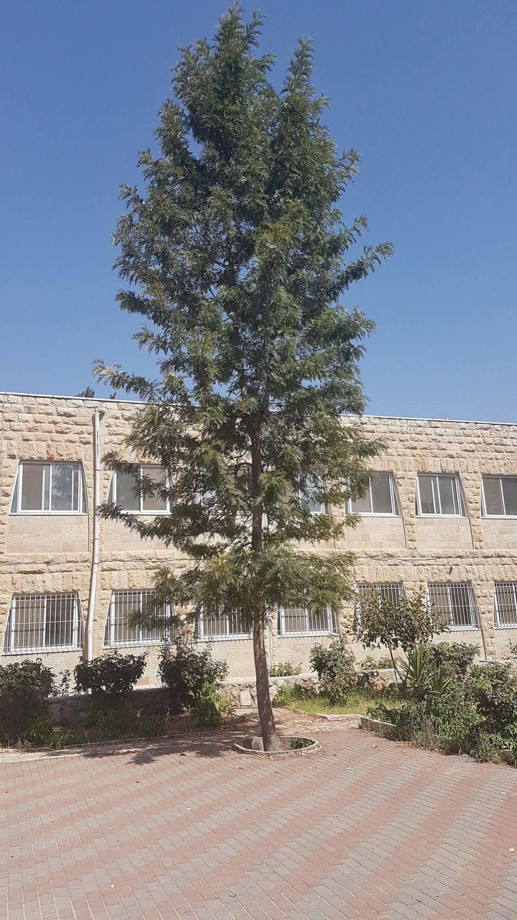 Talitha Kumi Guest House Al-Khader Dış mekan fotoğraf